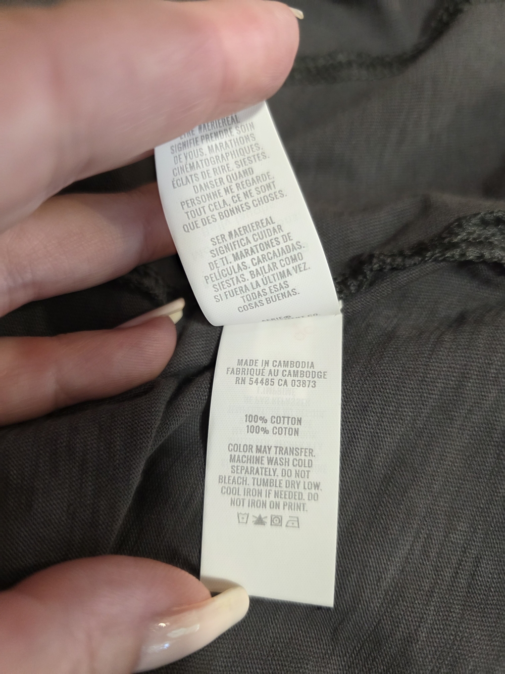 aerie NWT Charcoal Gray Graphic Short Sleeve Tee Boyfriend Boxy T White Tiger - Picture 13 of 14